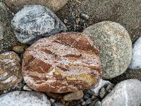 Stein in diversen Brauntönungen umgeben von farbigen Kieselsteinen